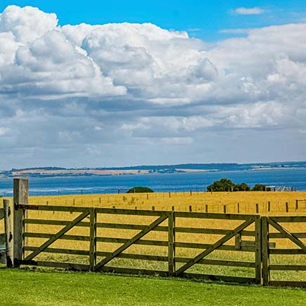 Fence Lines