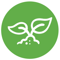 Seed Icon